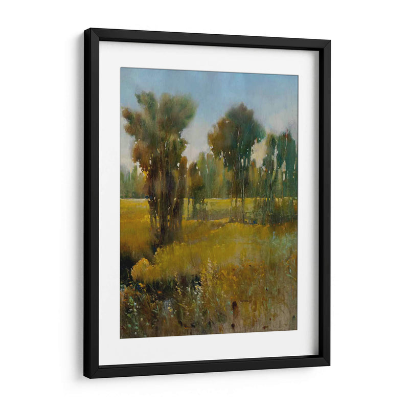 Campo Sunkissed Ii - Tim OToole | Cuadro decorativo de Canvas Lab