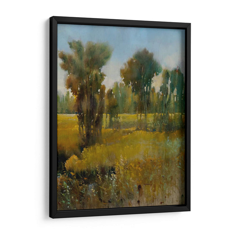 Campo Sunkissed Ii - Tim OToole | Cuadro decorativo de Canvas Lab