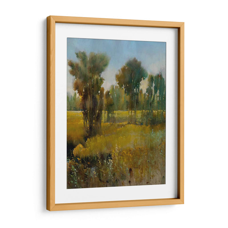 Campo Sunkissed Ii - Tim OToole | Cuadro decorativo de Canvas Lab