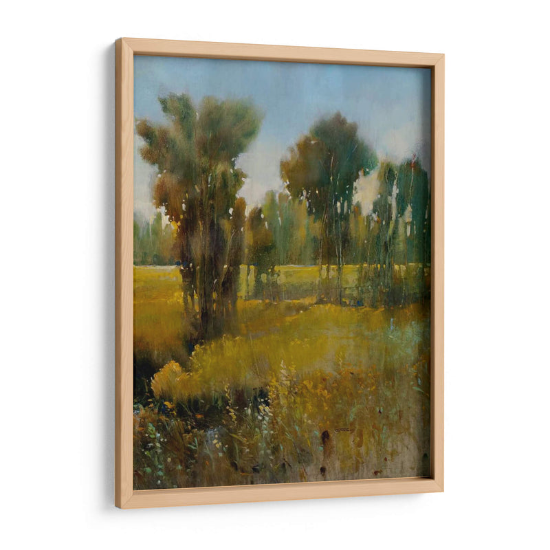 Campo Sunkissed Ii - Tim OToole | Cuadro decorativo de Canvas Lab