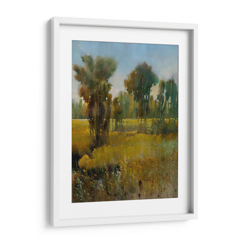 Campo Sunkissed Ii - Tim OToole | Cuadro decorativo de Canvas Lab