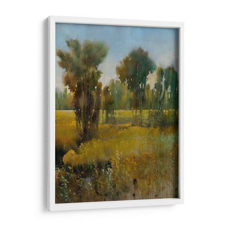 Campo Sunkissed Ii - Tim OToole | Cuadro decorativo de Canvas Lab