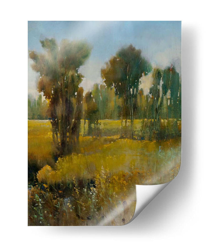 Campo Sunkissed Ii - Tim OToole | Cuadro decorativo de Canvas Lab