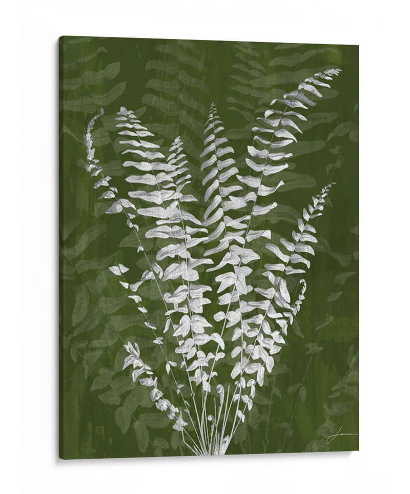 Jewel Ferns I - James Burghardt | Cuadro decorativo de Canvas Lab