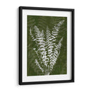 Jewel Ferns I - James Burghardt | Cuadro decorativo de Canvas Lab