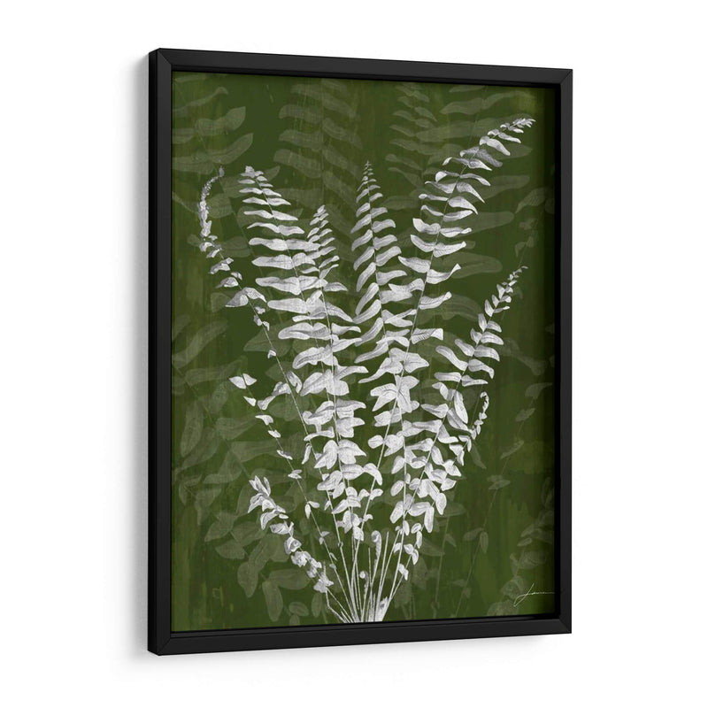 Jewel Ferns I - James Burghardt | Cuadro decorativo de Canvas Lab