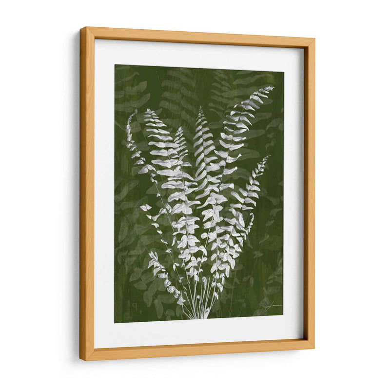 Jewel Ferns I - James Burghardt | Cuadro decorativo de Canvas Lab