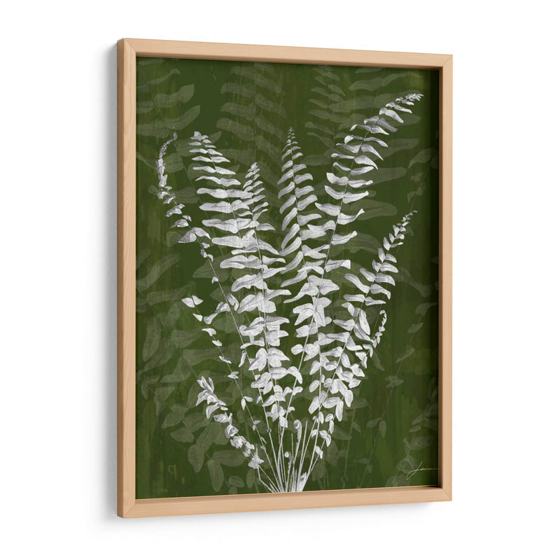 Jewel Ferns I - James Burghardt | Cuadro decorativo de Canvas Lab