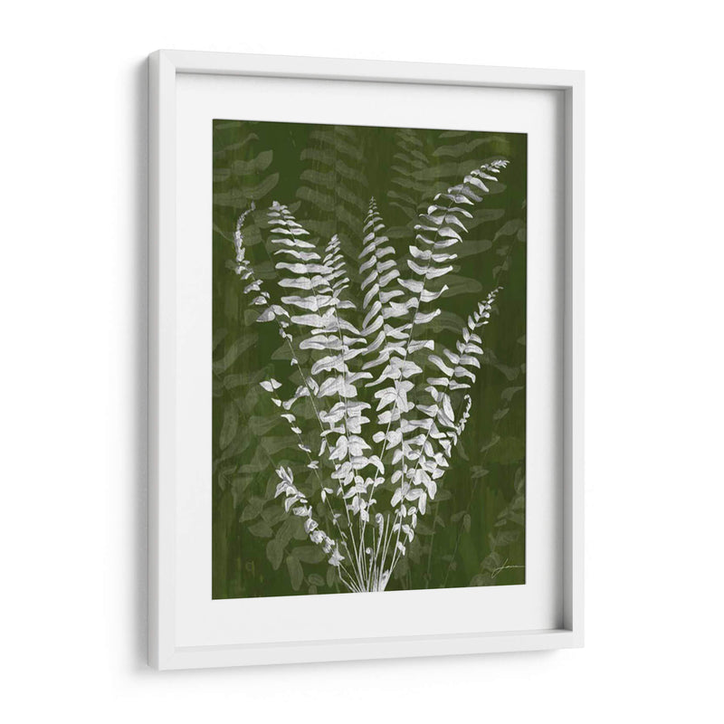 Jewel Ferns I - James Burghardt | Cuadro decorativo de Canvas Lab