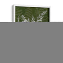 Jewel Ferns I - James Burghardt | Cuadro decorativo de Canvas Lab