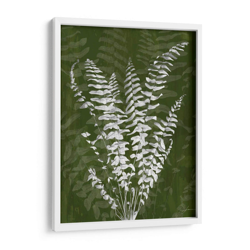 Jewel Ferns I - James Burghardt | Cuadro decorativo de Canvas Lab