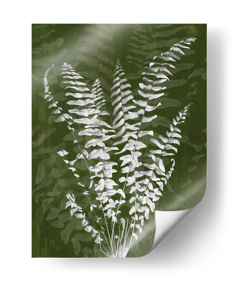 Jewel Ferns I - James Burghardt | Cuadro decorativo de Canvas Lab