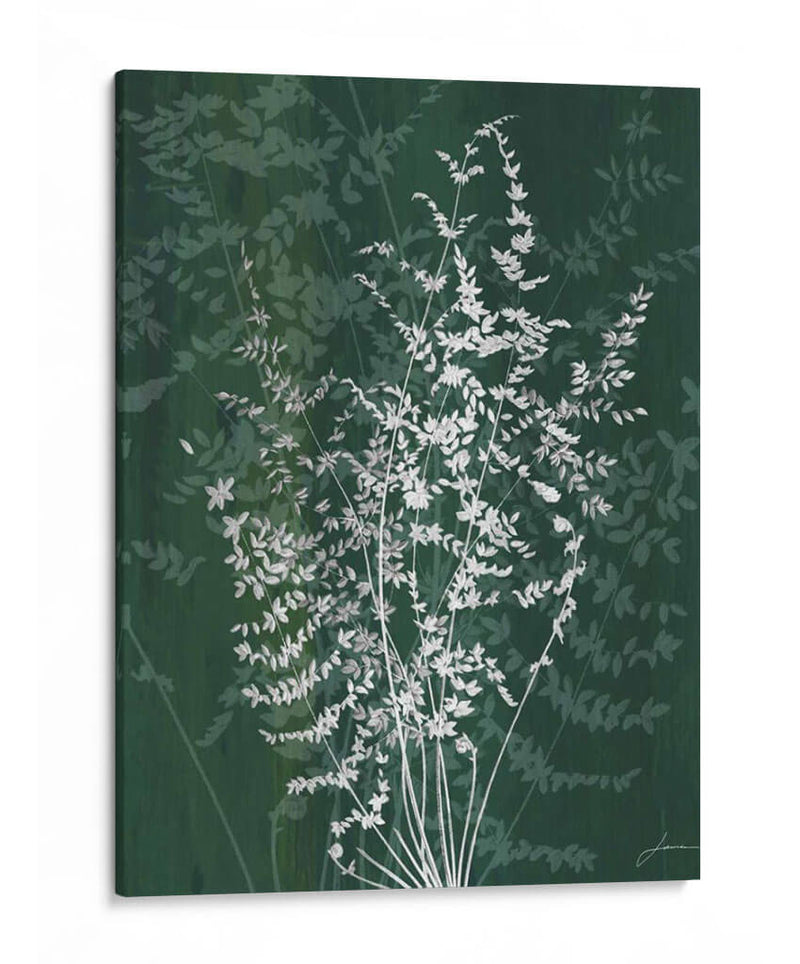 Jewel Ferns Ii - James Burghardt | Cuadro decorativo de Canvas Lab