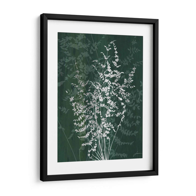 Jewel Ferns Ii - James Burghardt | Cuadro decorativo de Canvas Lab