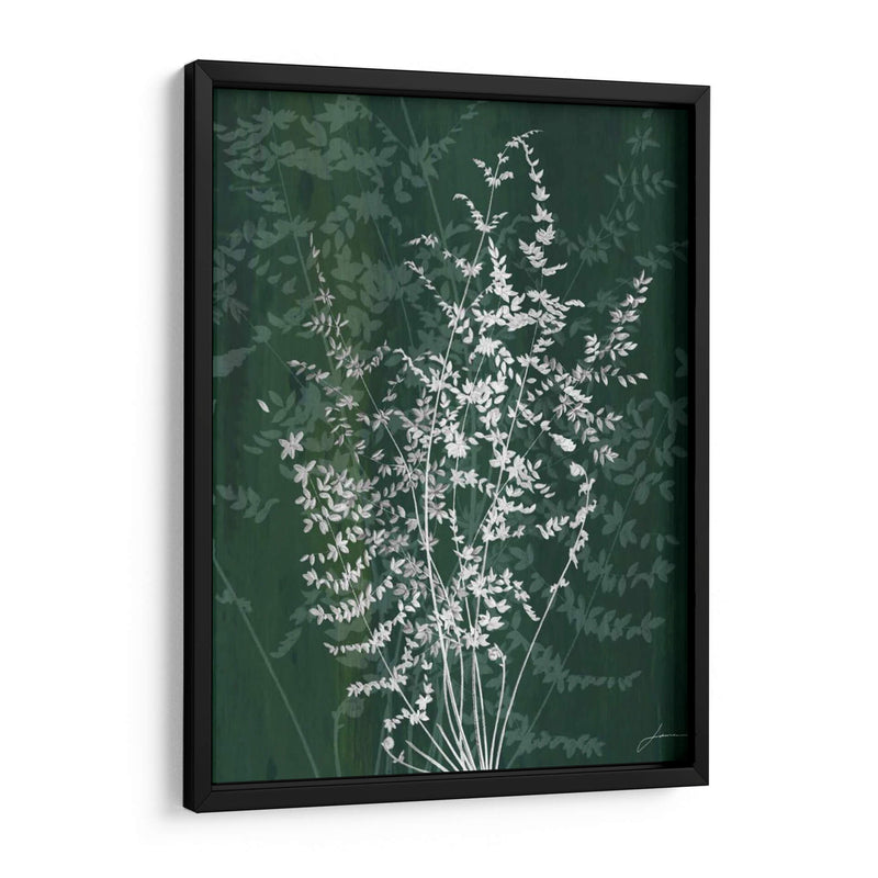 Jewel Ferns Ii - James Burghardt | Cuadro decorativo de Canvas Lab