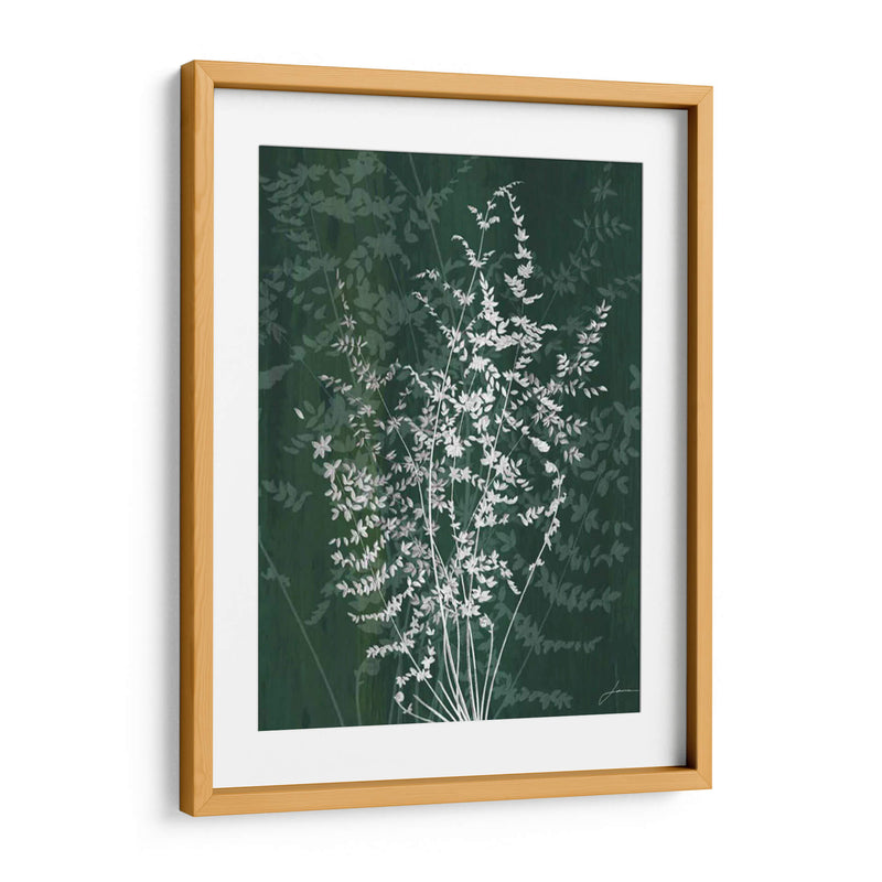 Jewel Ferns Ii - James Burghardt | Cuadro decorativo de Canvas Lab