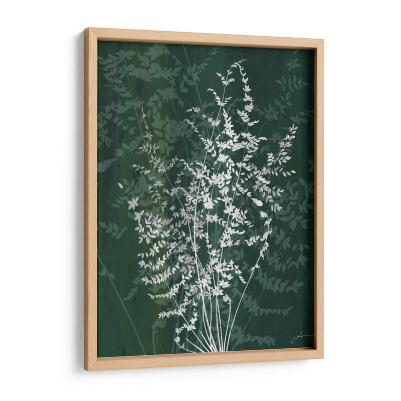 Jewel Ferns Ii - James Burghardt | Cuadro decorativo de Canvas Lab