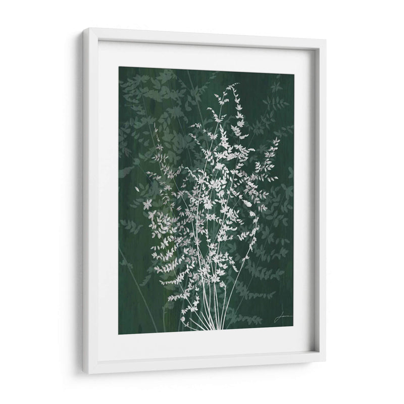 Jewel Ferns Ii - James Burghardt | Cuadro decorativo de Canvas Lab