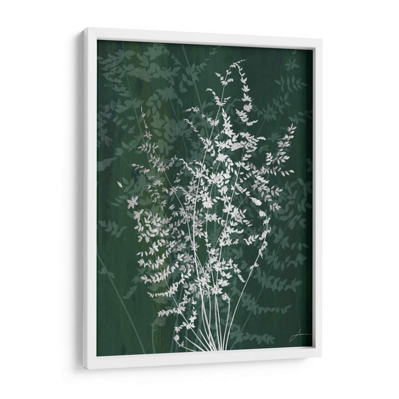 Jewel Ferns Ii - James Burghardt | Cuadro decorativo de Canvas Lab