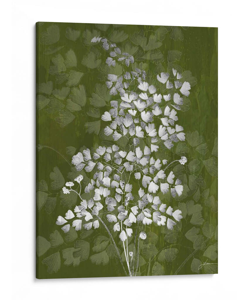 Jewel Ferns Iii - James Burghardt | Cuadro decorativo de Canvas Lab