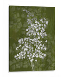 Jewel Ferns Iii - James Burghardt | Cuadro decorativo de Canvas Lab