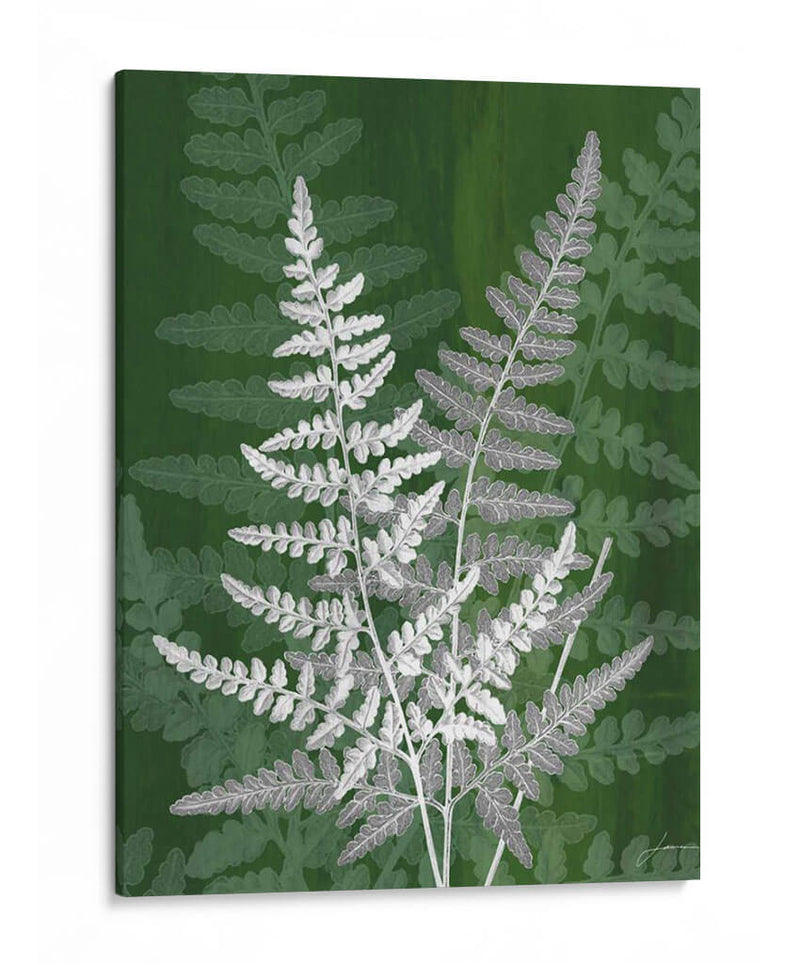 Jewel Ferns Iv - James Burghardt | Cuadro decorativo de Canvas Lab