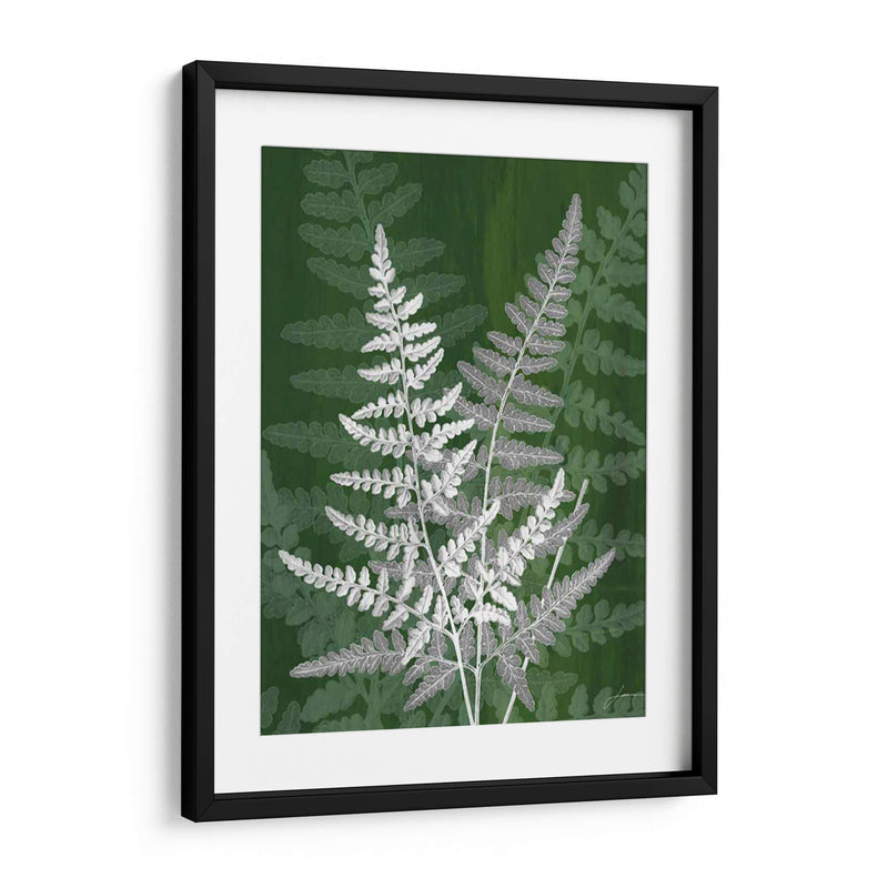 Jewel Ferns Iv - James Burghardt | Cuadro decorativo de Canvas Lab