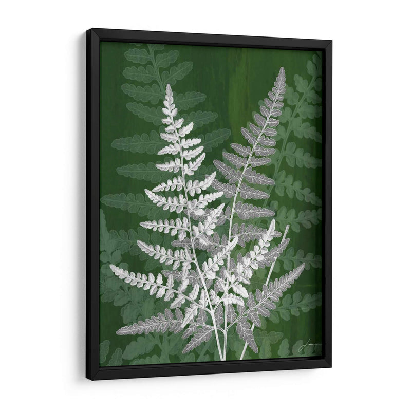 Jewel Ferns Iv - James Burghardt | Cuadro decorativo de Canvas Lab