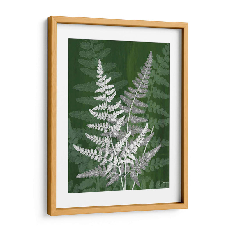 Jewel Ferns Iv - James Burghardt | Cuadro decorativo de Canvas Lab