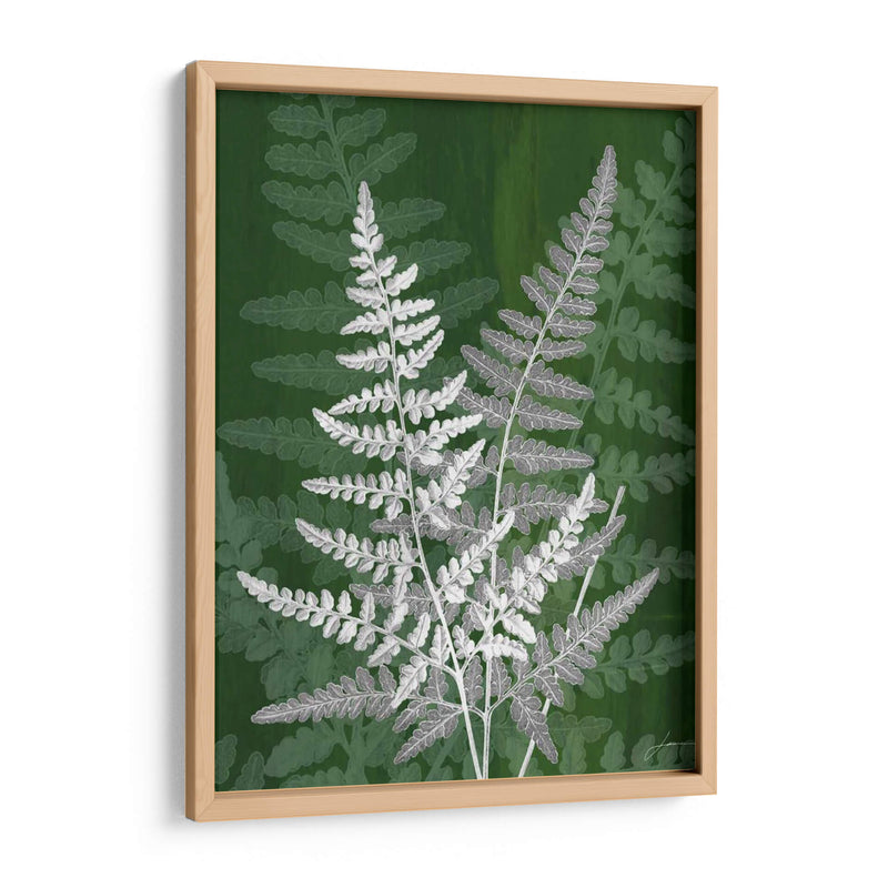 Jewel Ferns Iv - James Burghardt | Cuadro decorativo de Canvas Lab