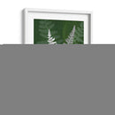 Jewel Ferns Iv - James Burghardt | Cuadro decorativo de Canvas Lab