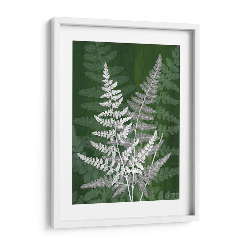 Jewel Ferns Iv - James Burghardt | Cuadro decorativo de Canvas Lab