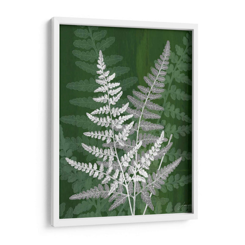 Jewel Ferns Iv - James Burghardt | Cuadro decorativo de Canvas Lab