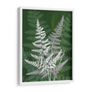 Jewel Ferns Iv - James Burghardt | Cuadro decorativo de Canvas Lab