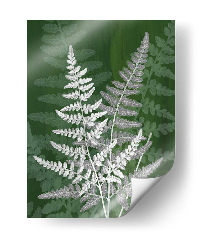 Jewel Ferns Iv - James Burghardt | Cuadro decorativo de Canvas Lab