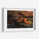 Otoño 2019 (I) - Alvaro Martinz | Cuadro decorativo de Canvas Lab