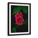 Verde y Rosa - Alvaro Martinz | Cuadro decorativo de Canvas Lab