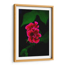 Verde y Rosa - Alvaro Martinz | Cuadro decorativo de Canvas Lab