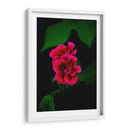 Verde y Rosa - Alvaro Martinz | Cuadro decorativo de Canvas Lab