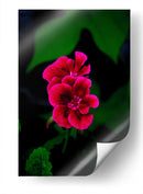 Verde y Rosa - Alvaro Martinz | Cuadro decorativo de Canvas Lab