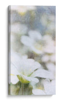 Mirando Vidrio I - Ingrid Blixt | Cuadro decorativo de Canvas Lab