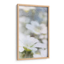 Mirando Vidrio I - Ingrid Blixt | Cuadro decorativo de Canvas Lab