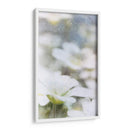 Mirando Vidrio I - Ingrid Blixt | Cuadro decorativo de Canvas Lab