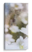 Mirando Vaso Ii - Ingrid Blixt | Cuadro decorativo de Canvas Lab