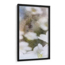 Mirando Vaso Ii - Ingrid Blixt | Cuadro decorativo de Canvas Lab