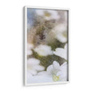 Mirando Vaso Ii - Ingrid Blixt | Cuadro decorativo de Canvas Lab