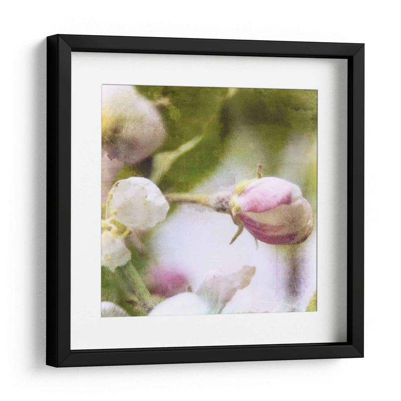 Apple Blossom I - Open Journey | Cuadro decorativo de Canvas Lab