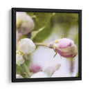 Apple Blossom I - Open Journey | Cuadro decorativo de Canvas Lab
