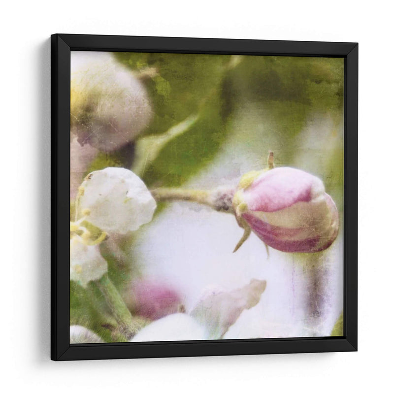 Apple Blossom I - Open Journey | Cuadro decorativo de Canvas Lab