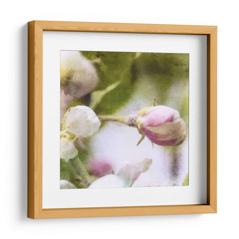 Apple Blossom I - Open Journey | Cuadro decorativo de Canvas Lab